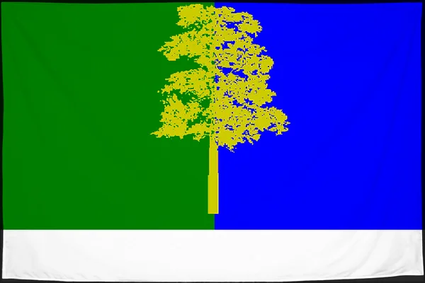 Флаг: Кондинский район